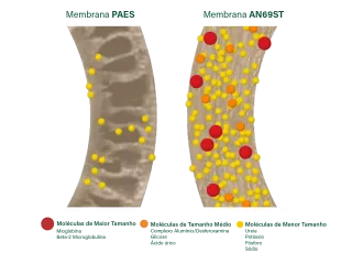 an69 membrane